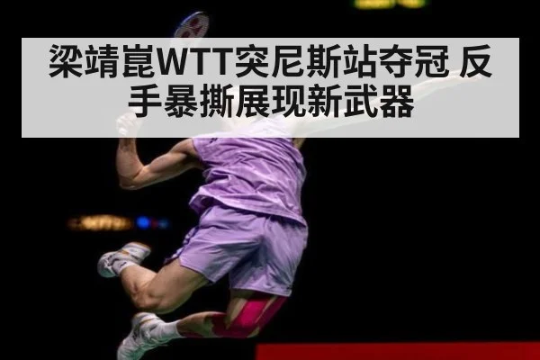 梁靖崑WTT突尼斯站夺冠 反手暴撕展现新武器