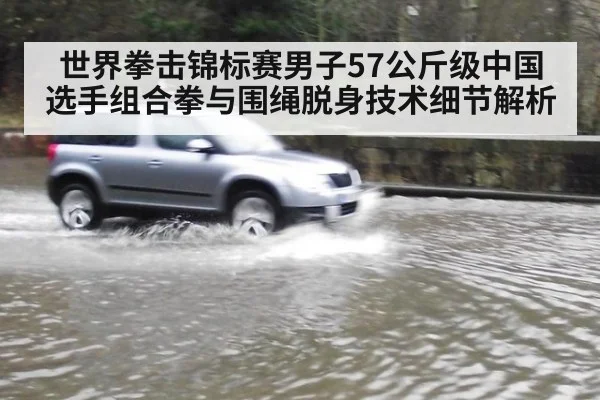 世界拳击锦标赛男子57公斤级中国选手组合拳与围绳脱身技术细节解析